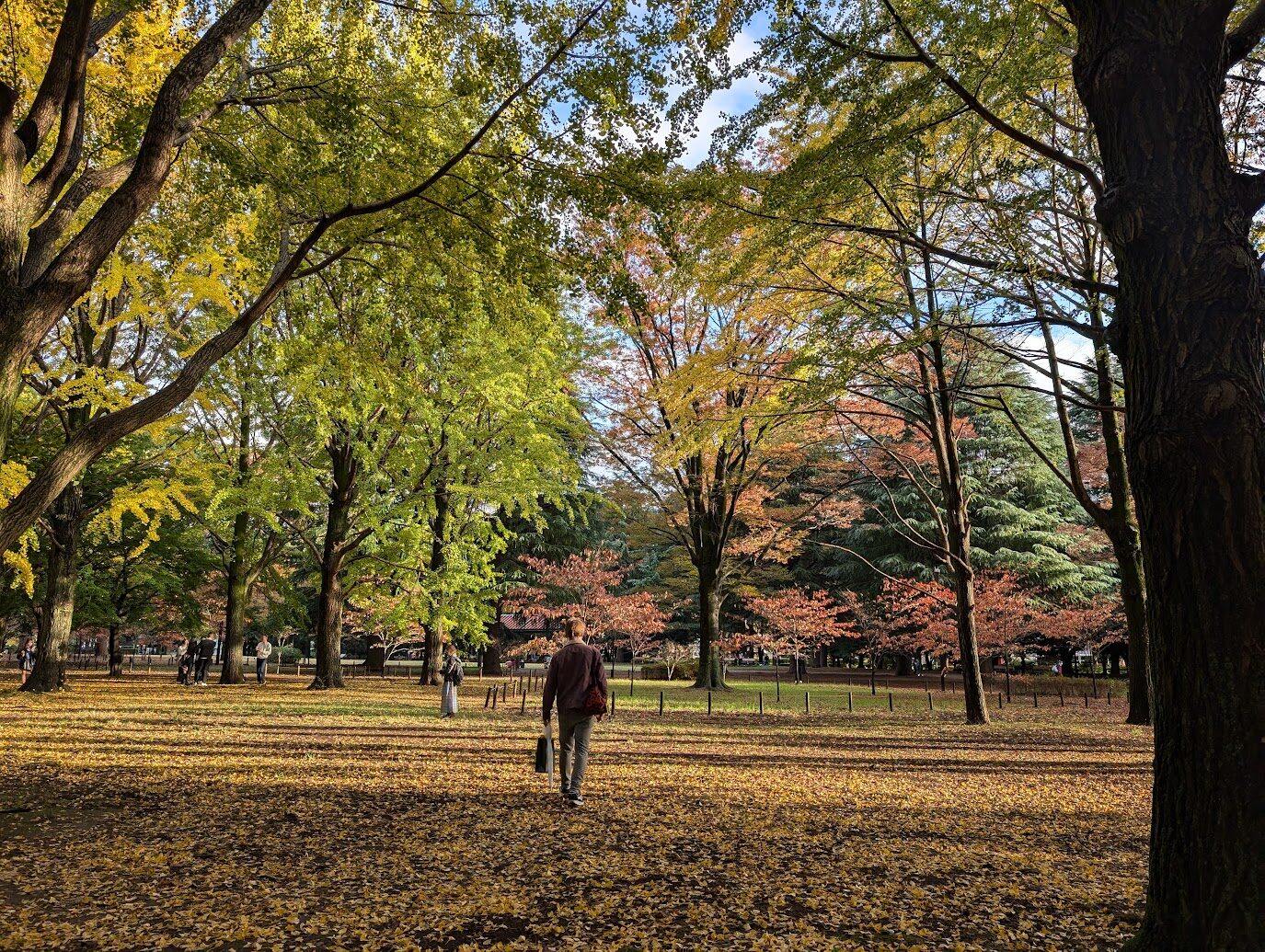 Scenic outdoor view representing blog content